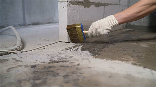 SJ Waterproofing Pros Waterproofing coverage map for Lynnville, TN and surrounding area